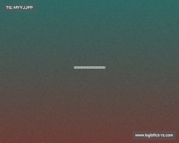 法甲球员在欧洲杯舞台上的精彩表现与潜力分析