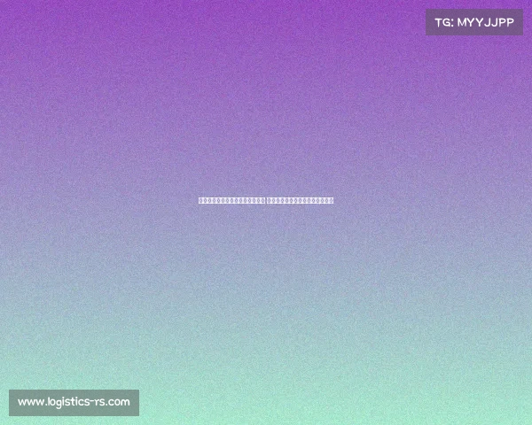 阿尔特塔赞苏比门迪表现不可思议 哲凯参与关键行动为球队贡献巨大